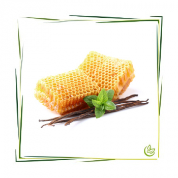 Parfümöl Vanilla Honey 5 l
